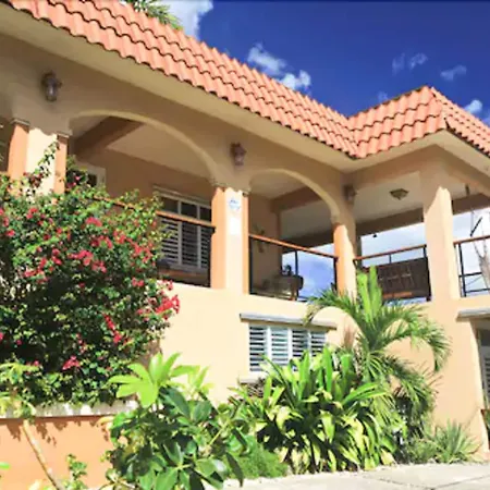 Villa Coral Guesthouse-3